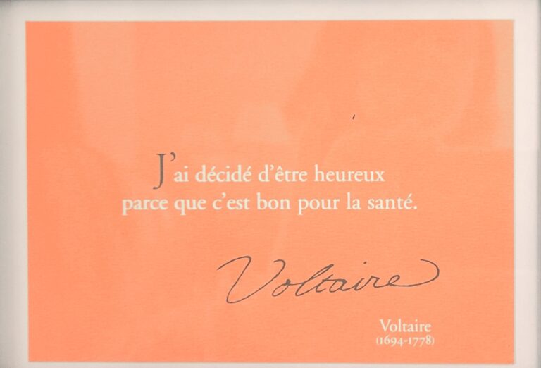 citation voltaire etre heureux bon pour sante