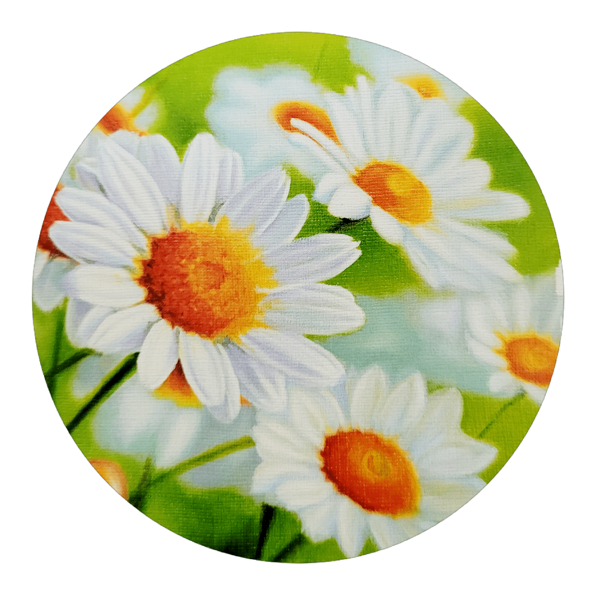 marguerittes